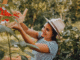 Croatia Fruit Picker Jobs for Foreigners 2025