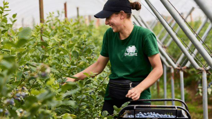 Vegetable Picker Jobs in Canada July 2025