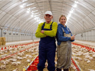 Poultry Farm Worker Jobs in USA July 2025