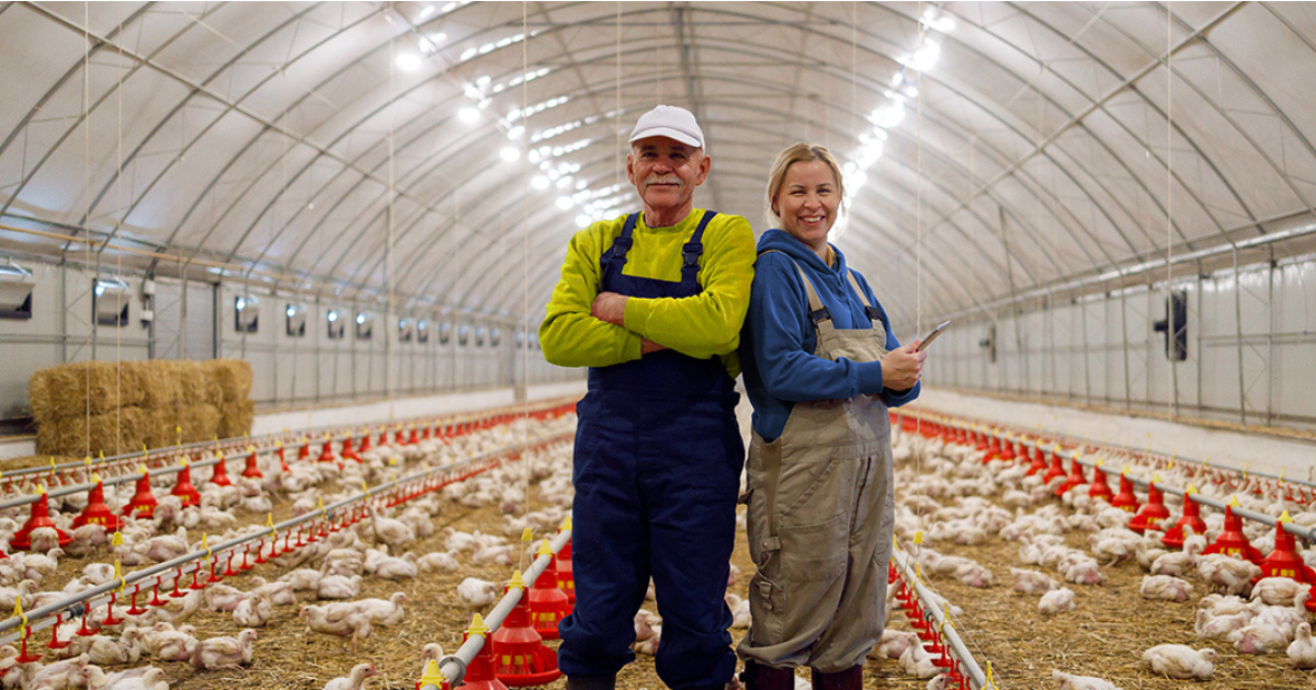 Poultry Farm Worker Jobs in USA July 2025