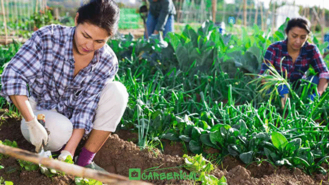 Farm Worker Jobs in Finland July 2025