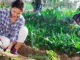 Farm Worker Jobs in Finland July 2025