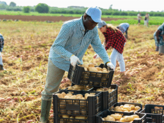 Farm Jobs In Italy For Foreigners July 2025