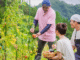 Fruit Picking Jobs Employment in United States July 2025