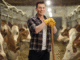  Jobs in Australia Beef Farm Worker