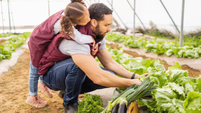 Fruit Vegetable Picker 200+jobs in Canada Aug 2025