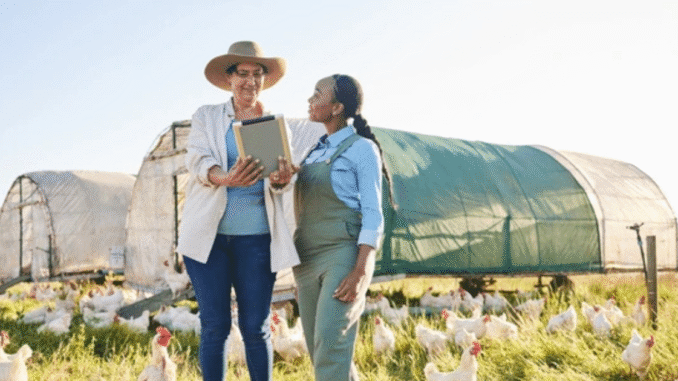 Poultry Farm Worker 500+Jobs in Canada