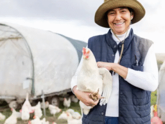 Poultry farm Jobs in United States September 2025