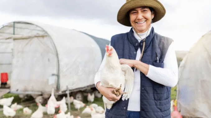 Poultry farm Jobs in United States September 2025