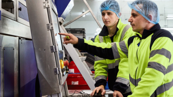 Fruit Picker Farm Worker Food Packing Jobs In Poland