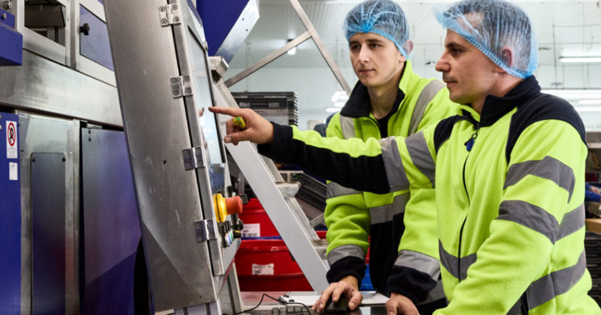 Fruit Picker Farm Worker Food Packing Jobs In Poland