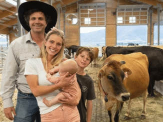 General Farm Worker Livestock in Canada 588+Available jobs