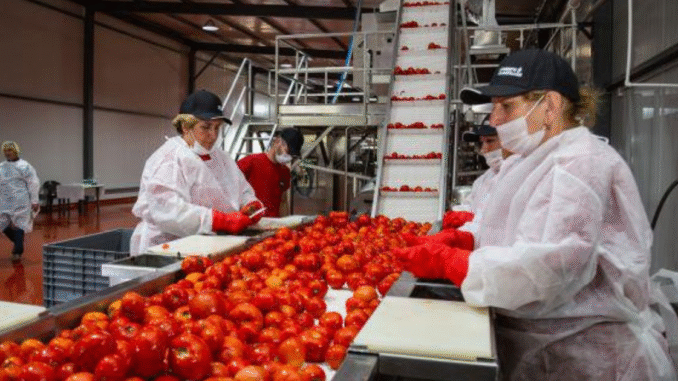 Jobs in Poland Producing Ketchup and Fruit Farms