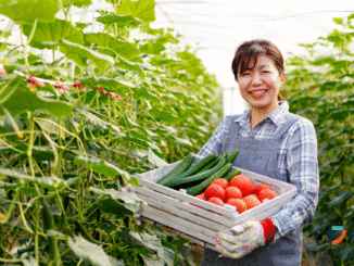 Agriculture Jobs in Spain September 2025