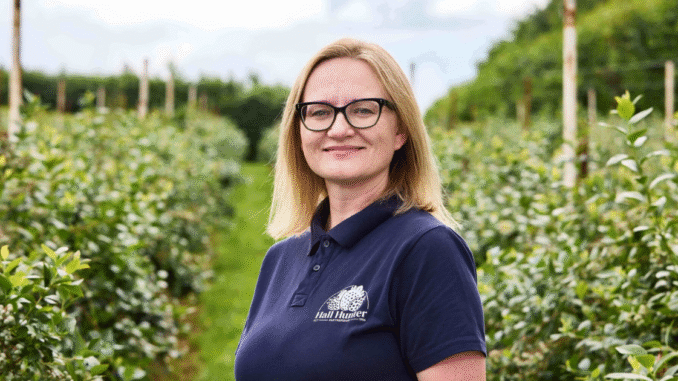 Orchard Harvesting Jobs In USA September 2025