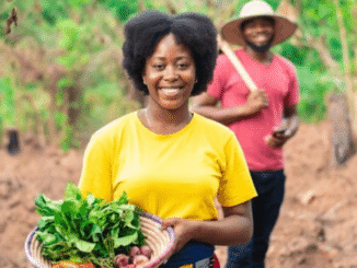 General farm worker 417+jobs in United States