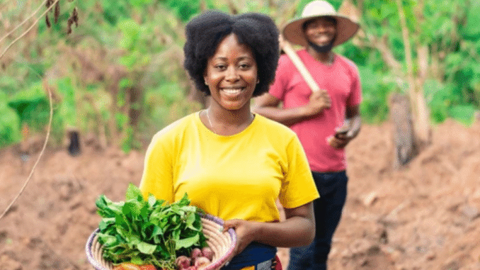 General farm worker 417+jobs in United States