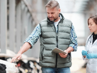 Dairy farm777+ Jobs in Australia September 2025