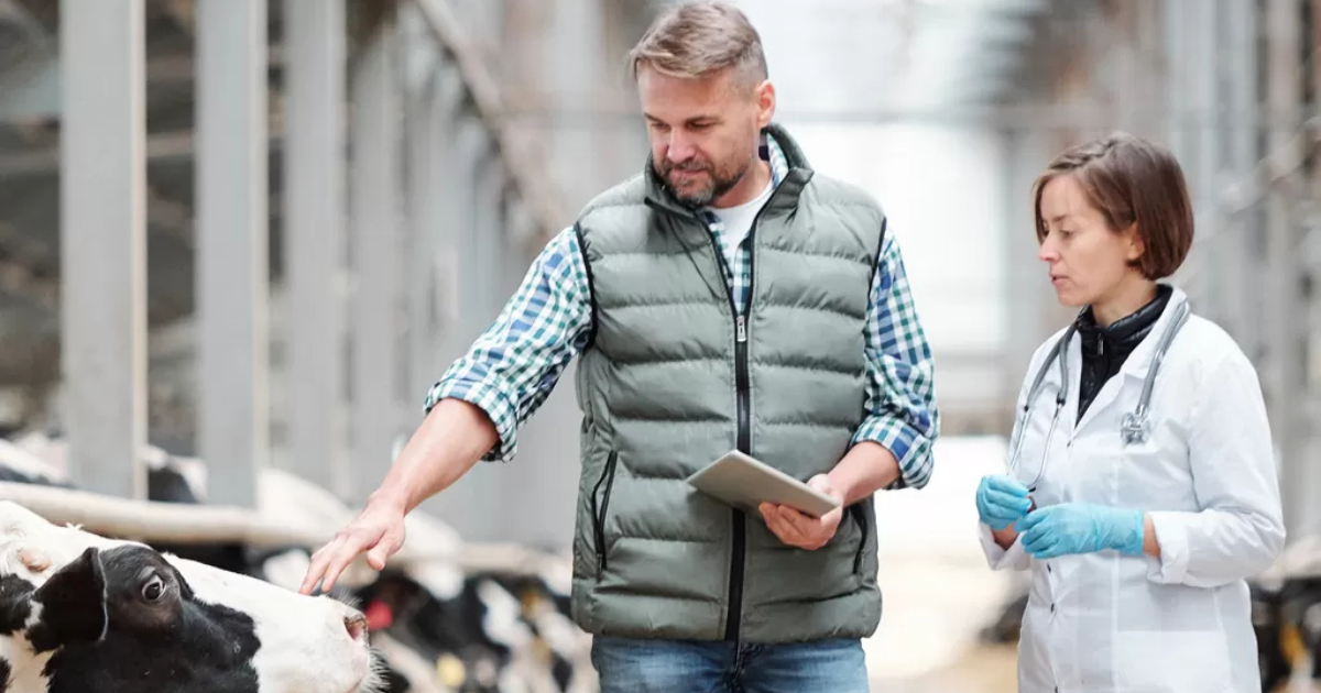 Dairy farm777+ Jobs in Australia September 2025