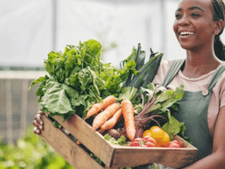 Farm Jobs in France for Foreigners Sep 2025