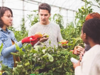 Work Visa Agricultural Farming Jobs in Canada 2025