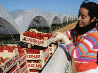 Spain Seasonal Worker Visa 2025 Seasonal Visa
