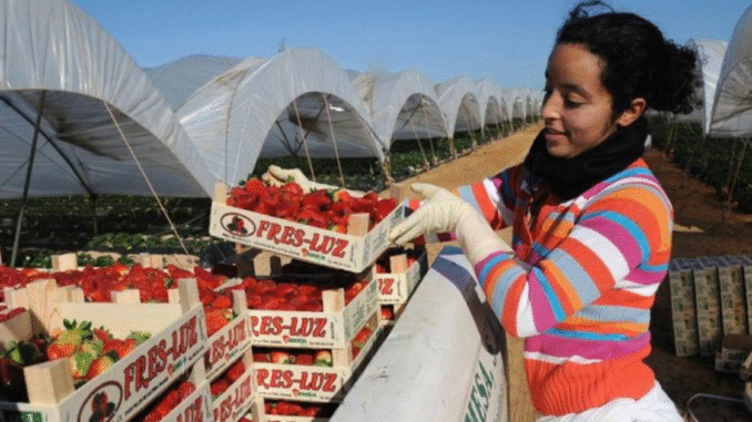 Spain Seasonal Worker Visa 2025 Seasonal Visa
