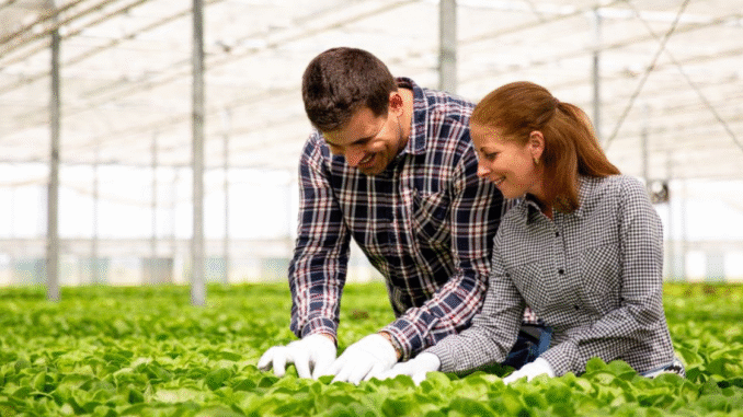 Grain Farm Worker Jobs in Canada with LMIA 2025 Apply Now