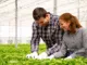Grain Farm Worker Jobs in Canada with LMIA 2025 Apply Now