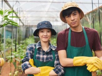 LMIA Pre-Approved Farm Jobs in Canada for Foreigners
