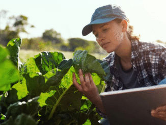 Agriculture Farm worker Jobs in Australia oct 2025