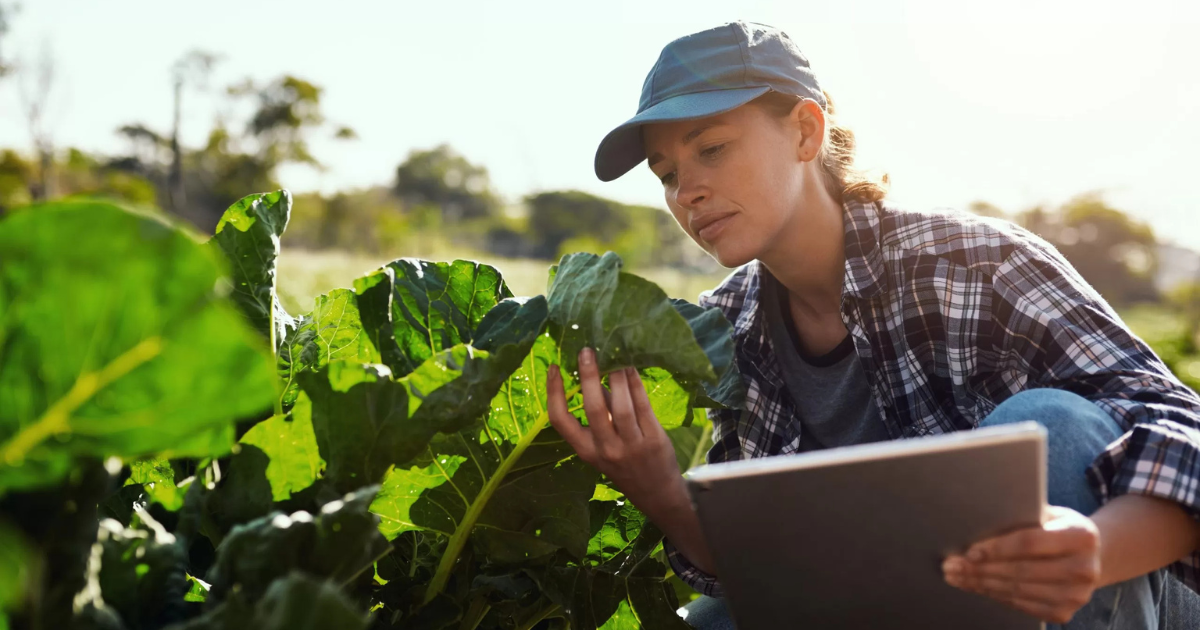 Agriculture Farm worker Jobs in Australia oct 2025