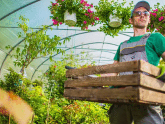 Gardener 200+ jobs in new Zealand oct 2025