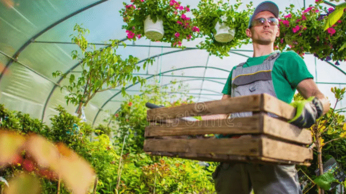 Gardener 200+ jobs in new Zealand oct 2025