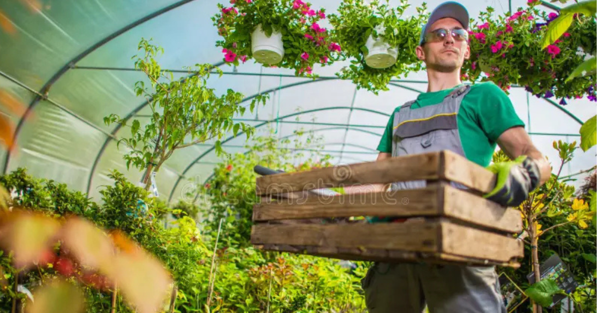 Gardener 200+ jobs in new Zealand oct 2025