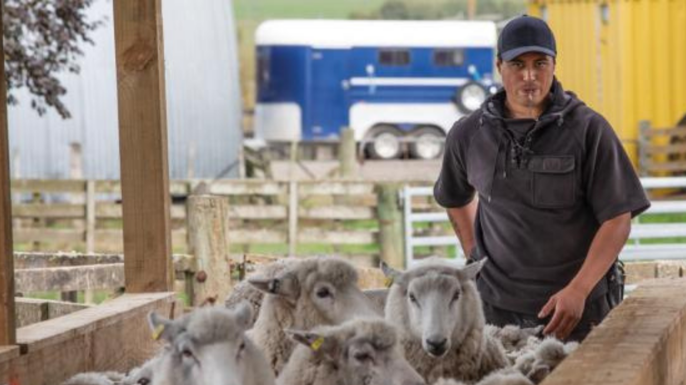 Livestock Farm Worker Jobs in New Zealand Oct 2025