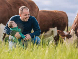 Beef Cattle Herdsman Jobs In Australia Nov 2025
