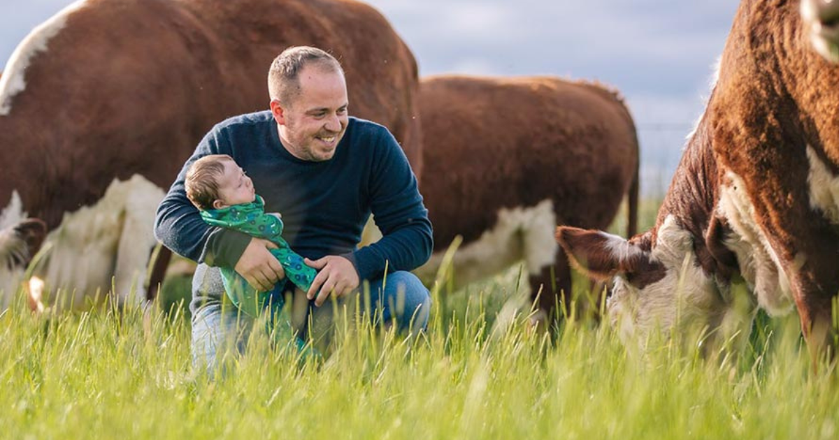 Beef Cattle Herdsman Jobs In Australia Nov 2025