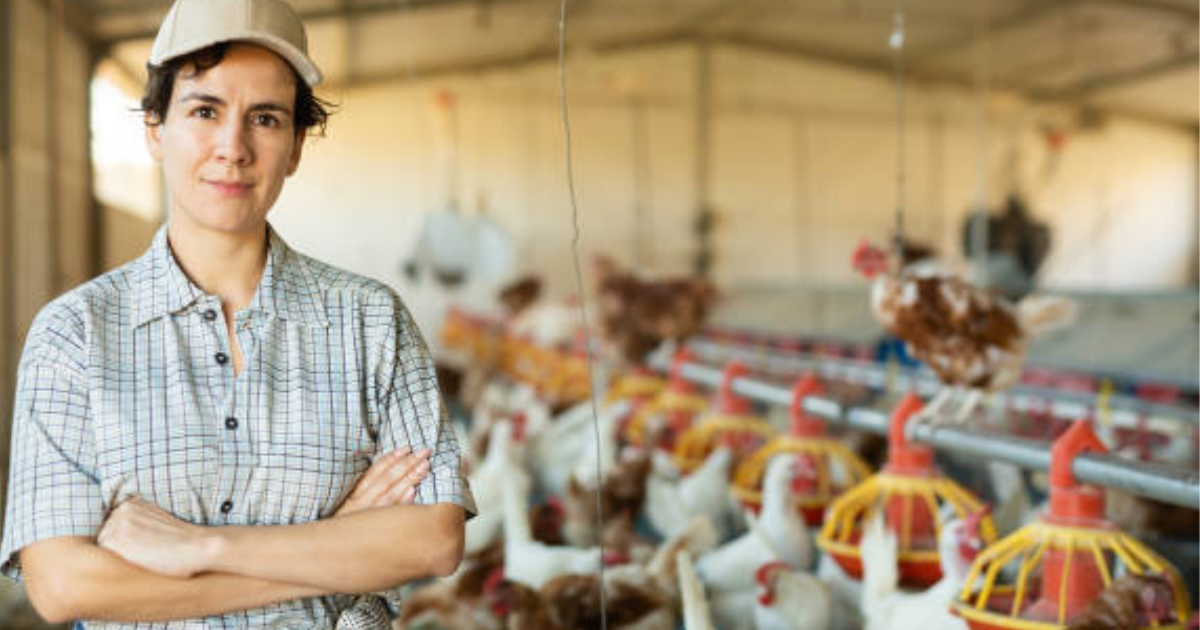 Poultry Farm Jobs in Poland for Foreigners Nov 2025