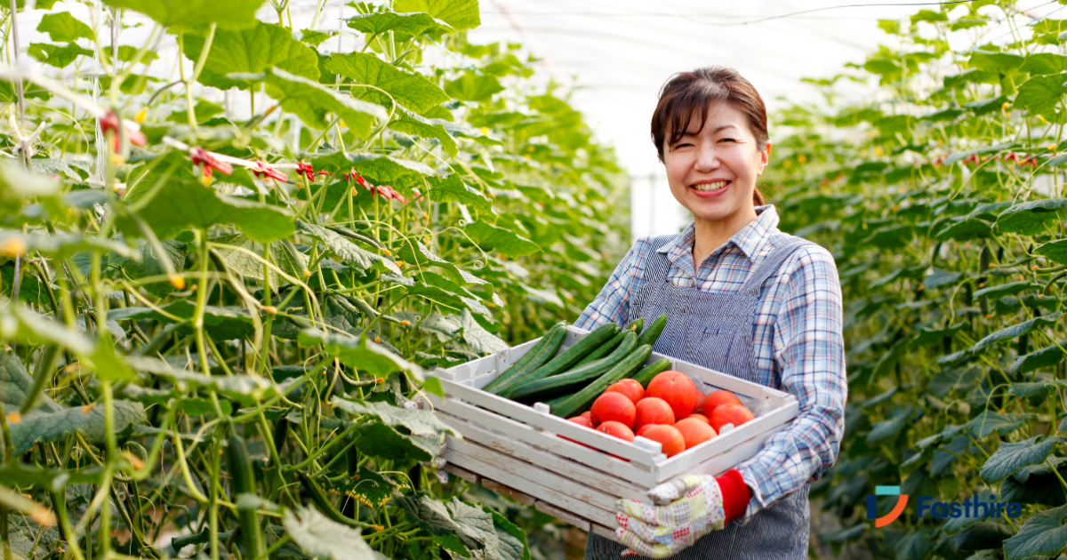 Tomato Picking Jobs in Poland Nov 2025