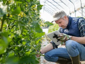 Farm 200+Jobs in Canada for Foreigners Nov 2025