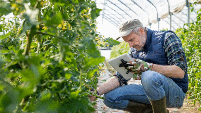 Farm 200+Jobs in Canada for Foreigners Nov 2025