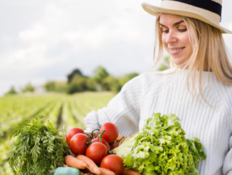 Work opportunities in the agricultural sector italy Dec 2025