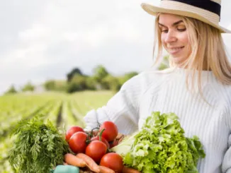 Work opportunities in the agricultural sector italy Dec 2025