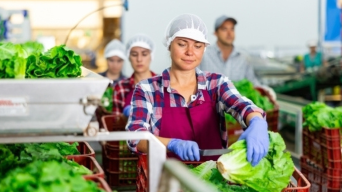 Packing jobs in japan For unskilled workers