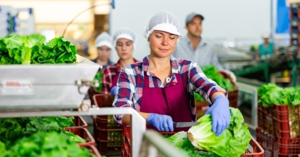 Packing jobs in japan For unskilled workers