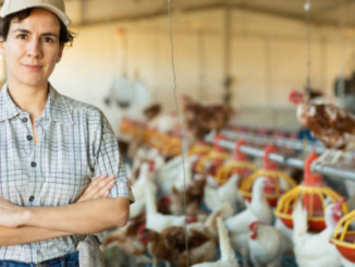 Jobs in the United States for Poultry Farm Workers