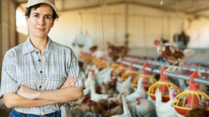 Jobs in the United States for Poultry Farm Workers