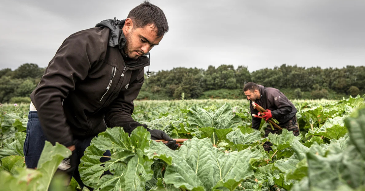 General Farm Worker Jobs in UK