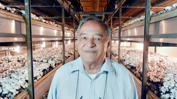 Mushroom Farm Worker Jobs in Canada